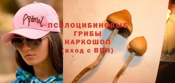 мяу мяу мука Беломорск
