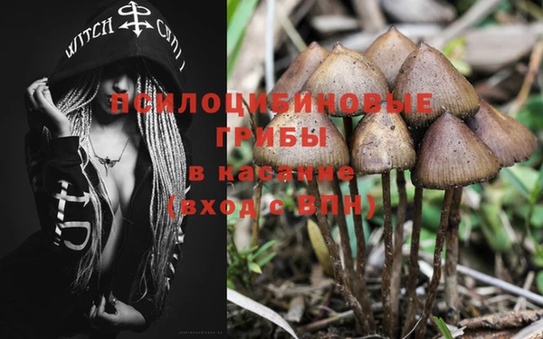 мяу мяу мука Беломорск
